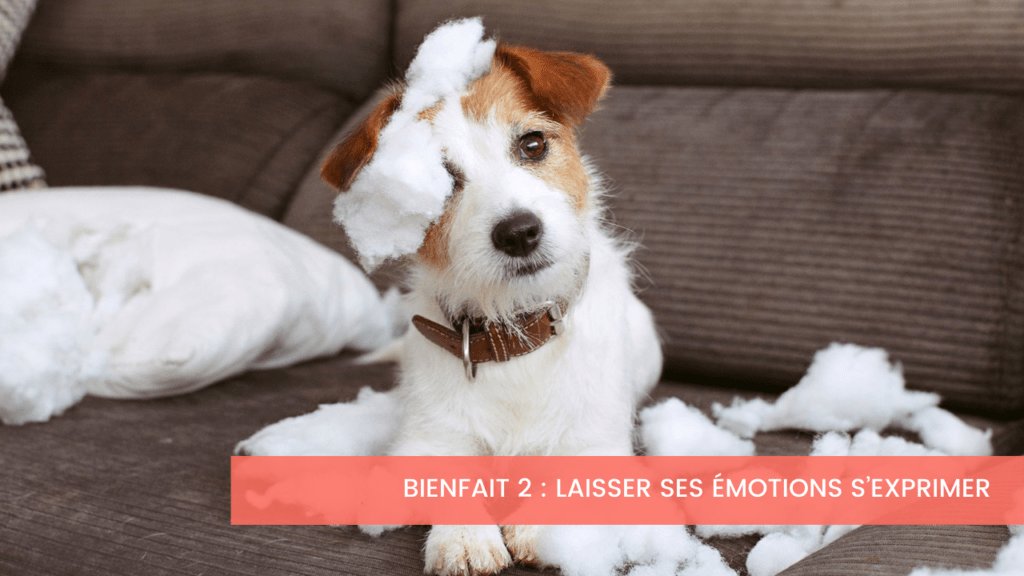 Apprivoiser ses émotions dans les moments de solitude